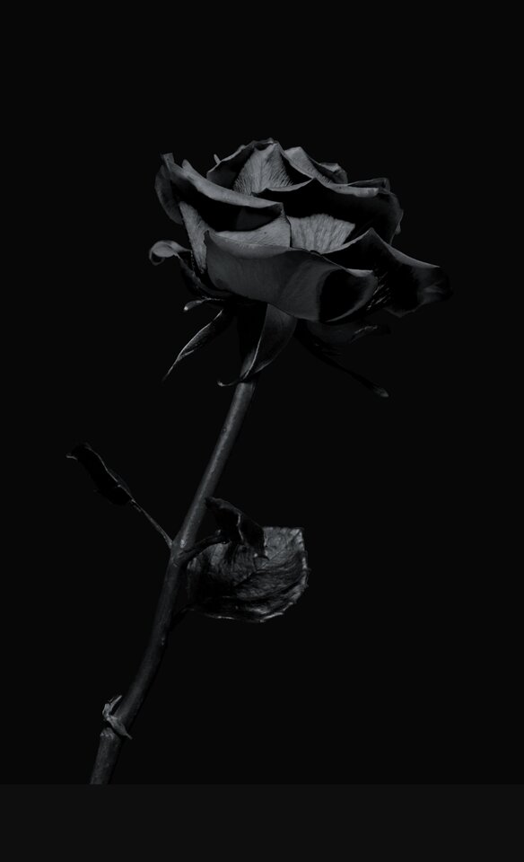 1000017265.jpg - Lubiesuki1