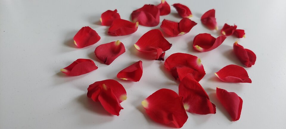 20250215_145326.jpg - __FAWKULCE__