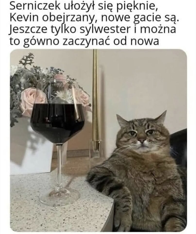 1000115894.jpg - tomasz1108