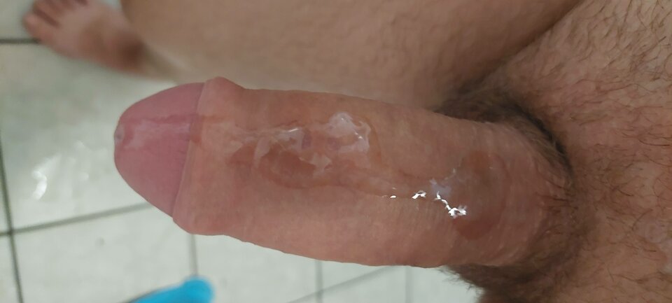 8baa0f4c-7690-4fda-8656-016cdd2124ed-1_all_30623.jpg - Patrros