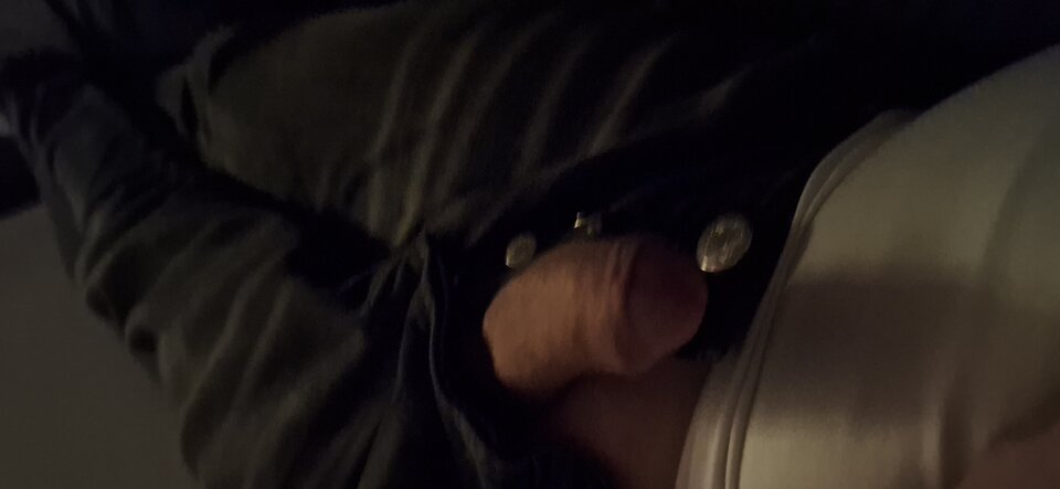 1000035872.jpg - MyWarjatyRealni