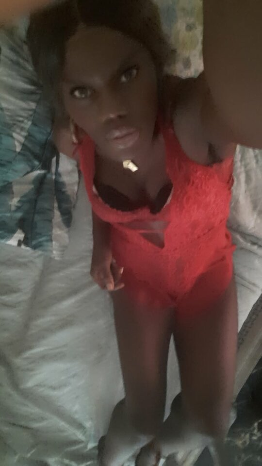 Snapchat-47650024.jpg - OniJegoTrans