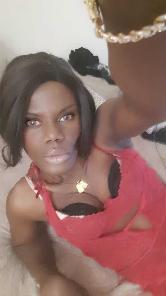 Snapchat-1938375091.jpg - OniJegoTrans