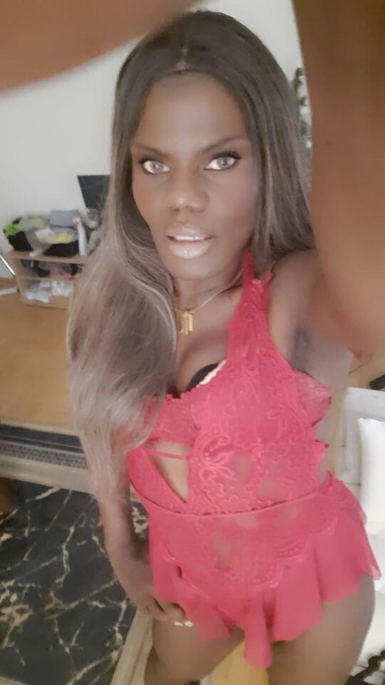 Snapchat-2007619823.jpg - OniJegoTrans