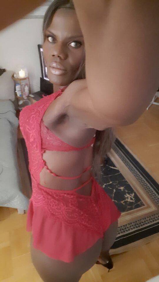 Snapchat-376950312.jpg - OniJegoTrans