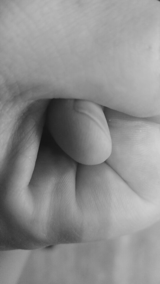 1000045886.jpg - VarietasDelectat