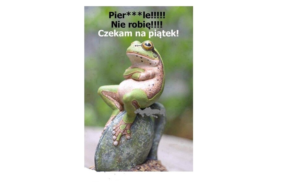 Pierdole.jpg - sks55