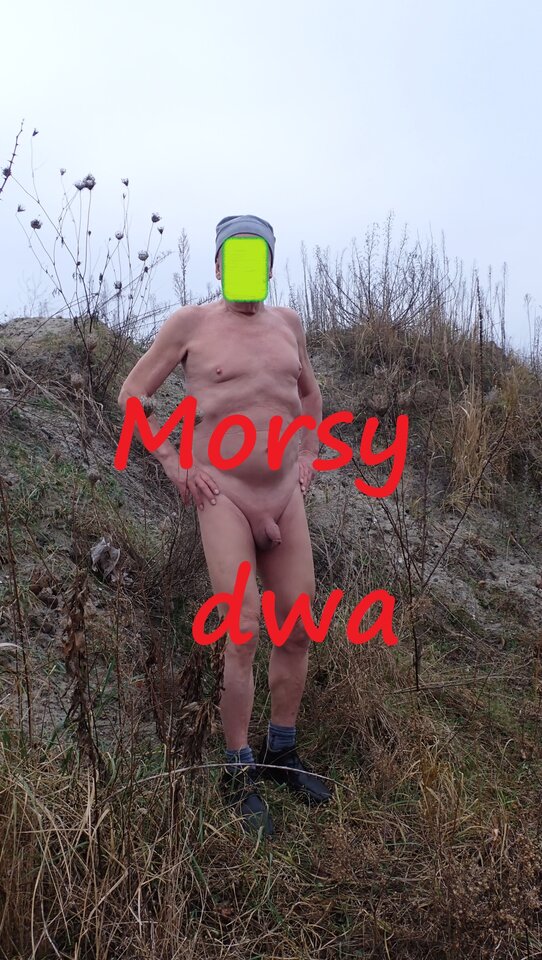 Suche morsowanie. 26 grudzień 2025. - Morsy_dwa