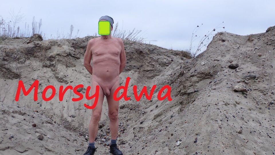 Suche morsowanie. 26 grudzień 2025. - Morsy_dwa