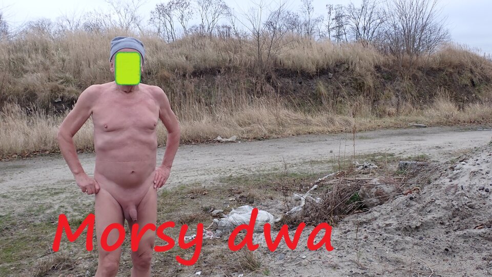 Suche morsowanie. 26 grudzień 2025. - Morsy_dwa