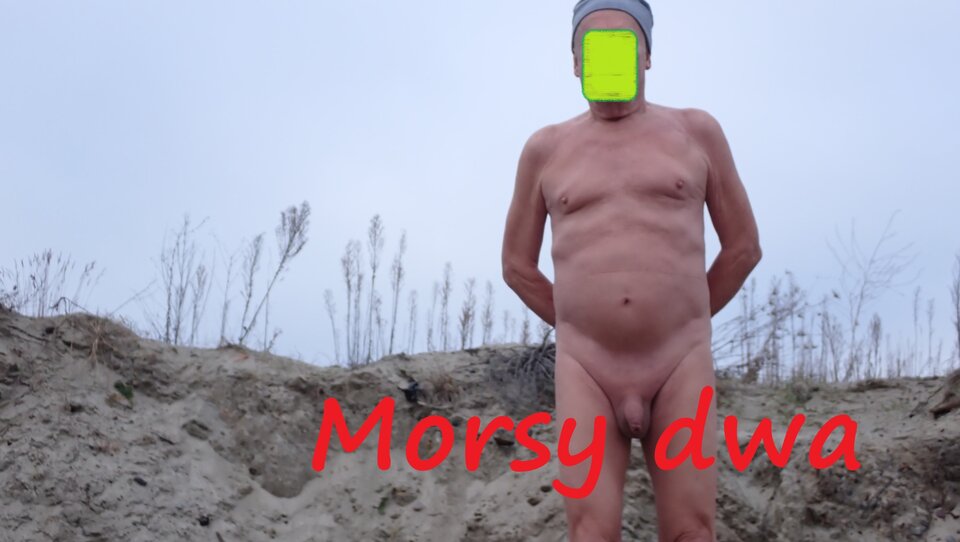 Suche morsowanie. 26 grudzień 2025. - Morsy_dwa