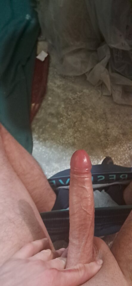 1000009707.jpg - Netter1981