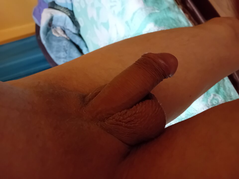 1000010124.jpg - brus13