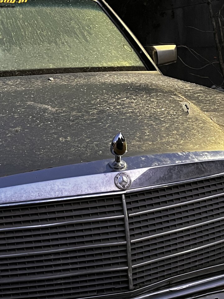 IMG_5446.jpeg - chcesienam