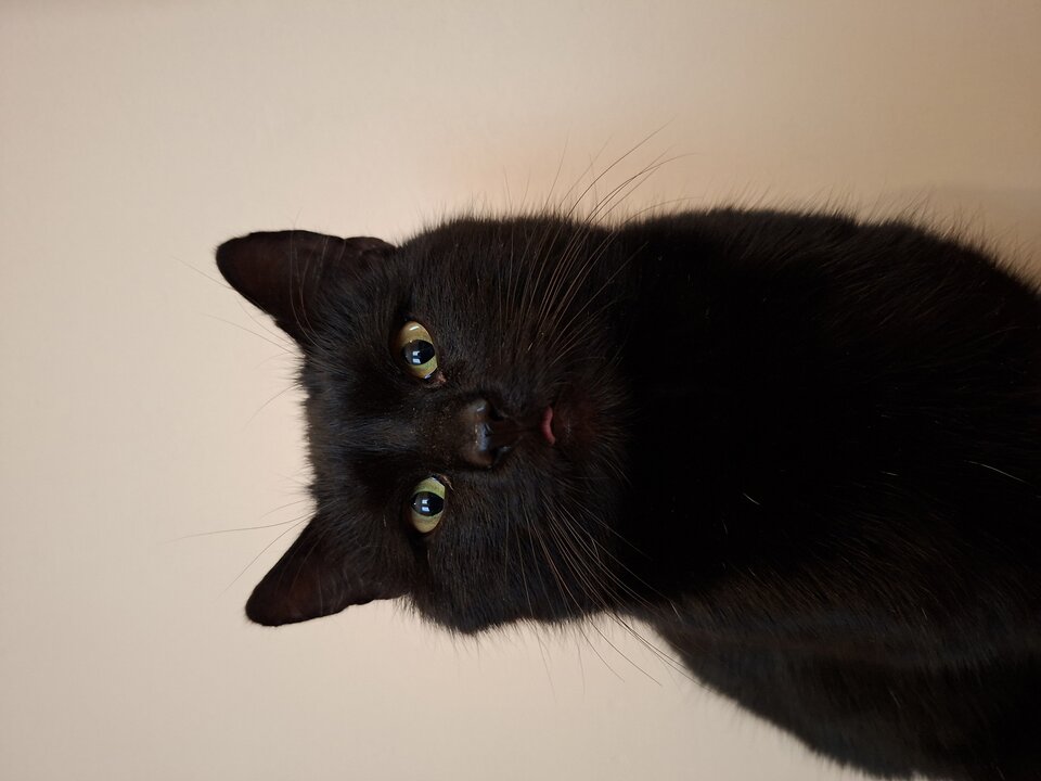 1000002296.jpg - Lucja33