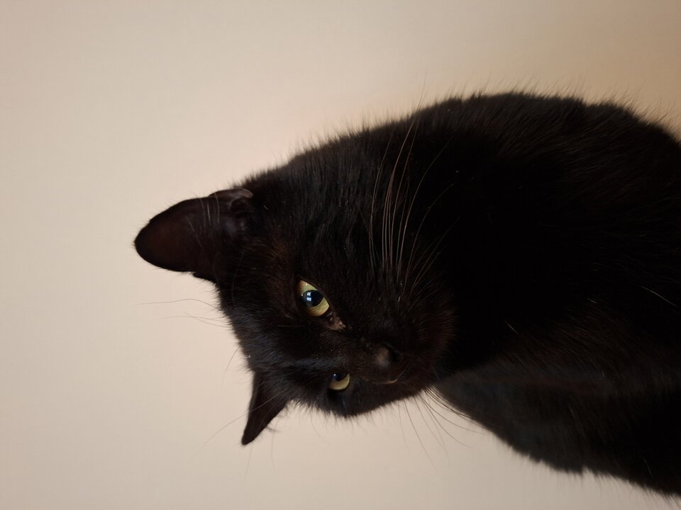 1000002297.jpg - Lucja33