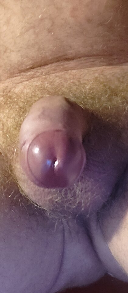 1000002827.jpg - 4you8283