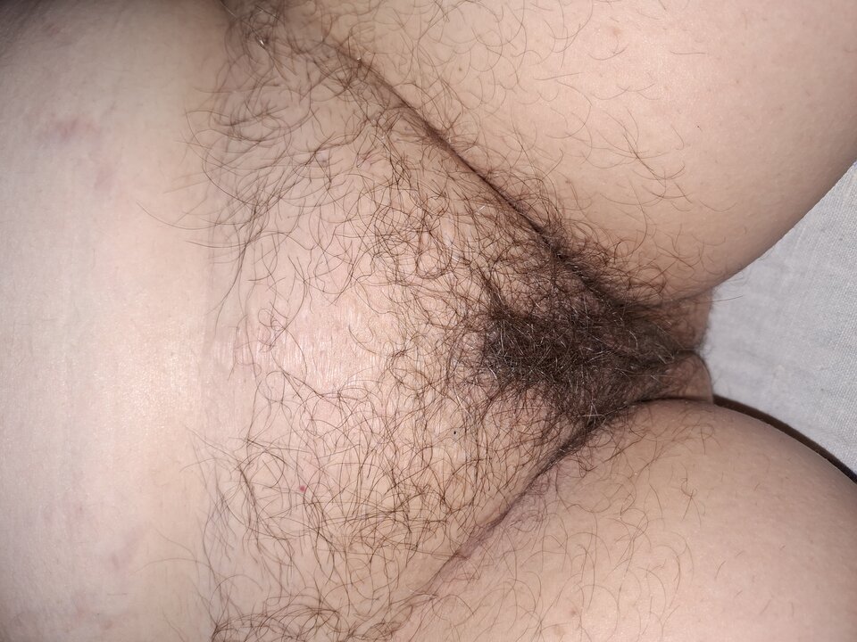 261.jpg - Mrowka72