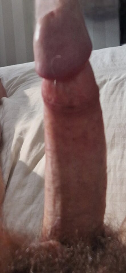 1000061528.jpg - Ipka