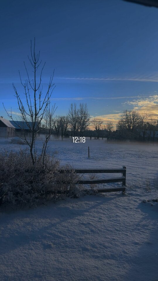 1000002556.jpg - _JaG76_