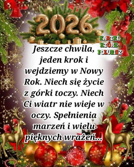 Polish_20251229_125736086-696x869.jpg - holywood