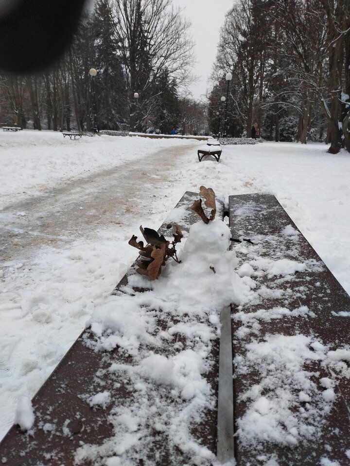 IMG_20251231_142800.jpg - Korolka76