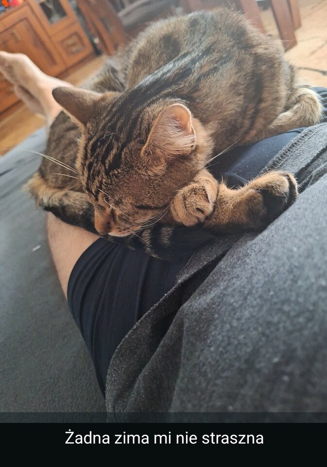 1000004318.jpg - Olesnica50