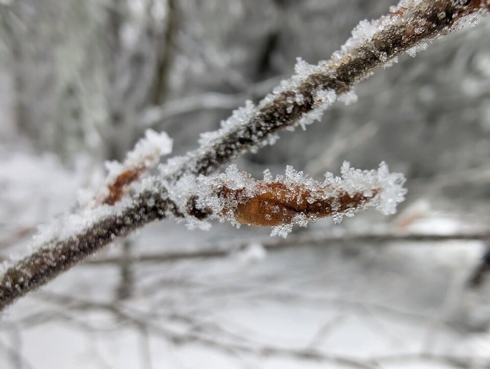 1000059077.jpg - sensory_