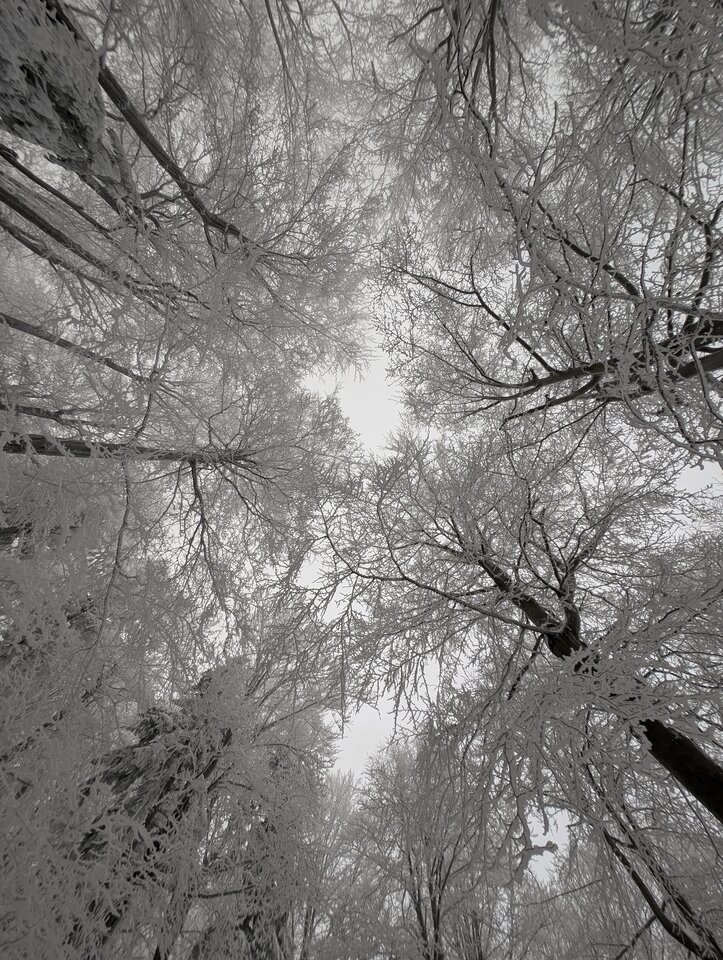 1000059078.jpg - sensory_