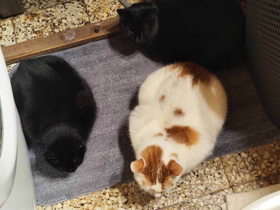 1000002345.jpg - RPGfan