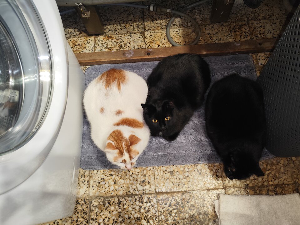 1000002344.jpg - RPGfan