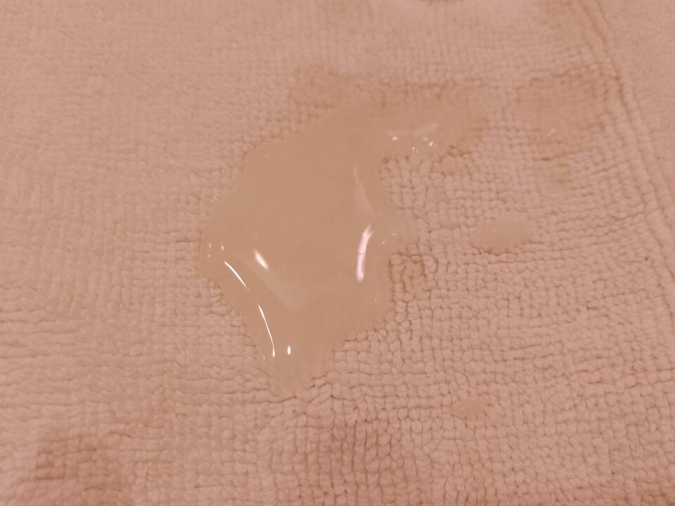 IMG_20260102_041917_714.jpg - Oleander98