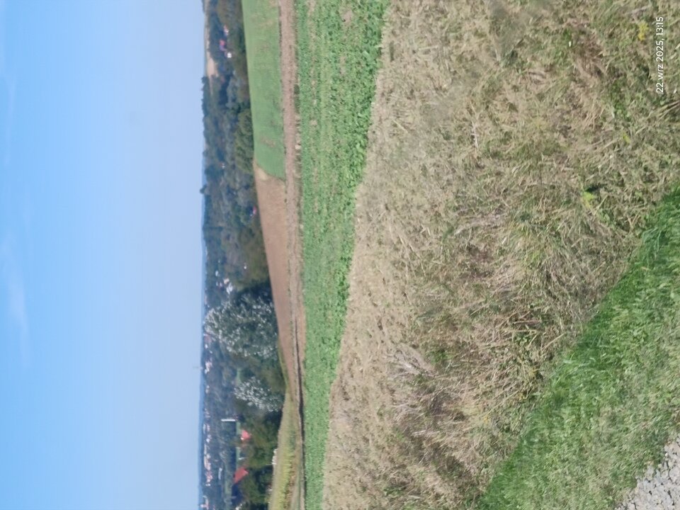 1000005189.jpg - Przystojniak19862000