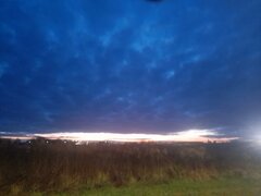 20251127_065439.jpg