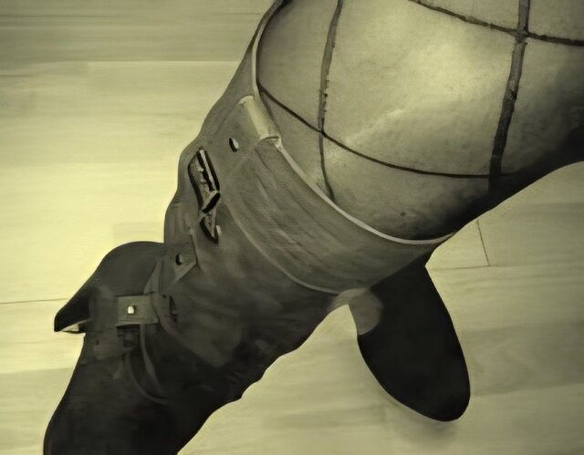 170x220c(38).jpg - joanna1977