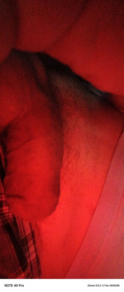 2026-01-0222.46.422909827679019318293.jpg - koniobijca51