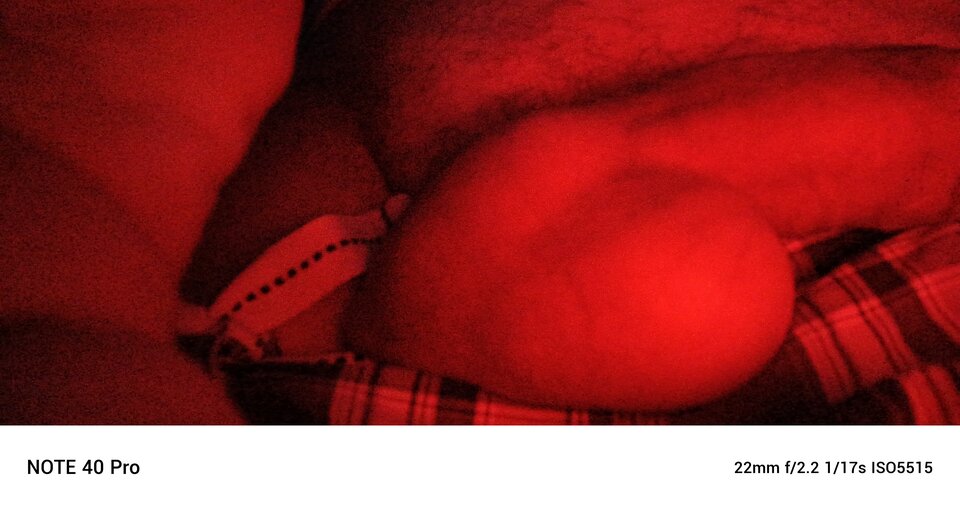 2026-01-0222.47.101101755779330747247.jpg - koniobijca51