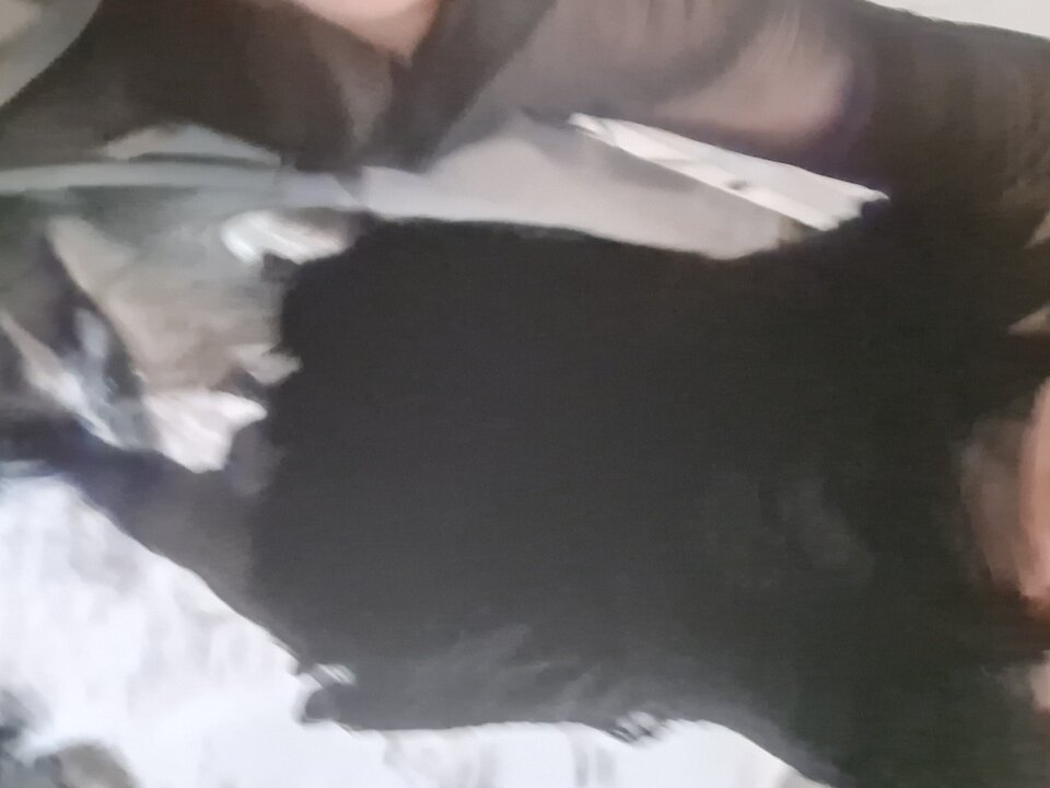 20260103_022548.jpg - Taxidrive