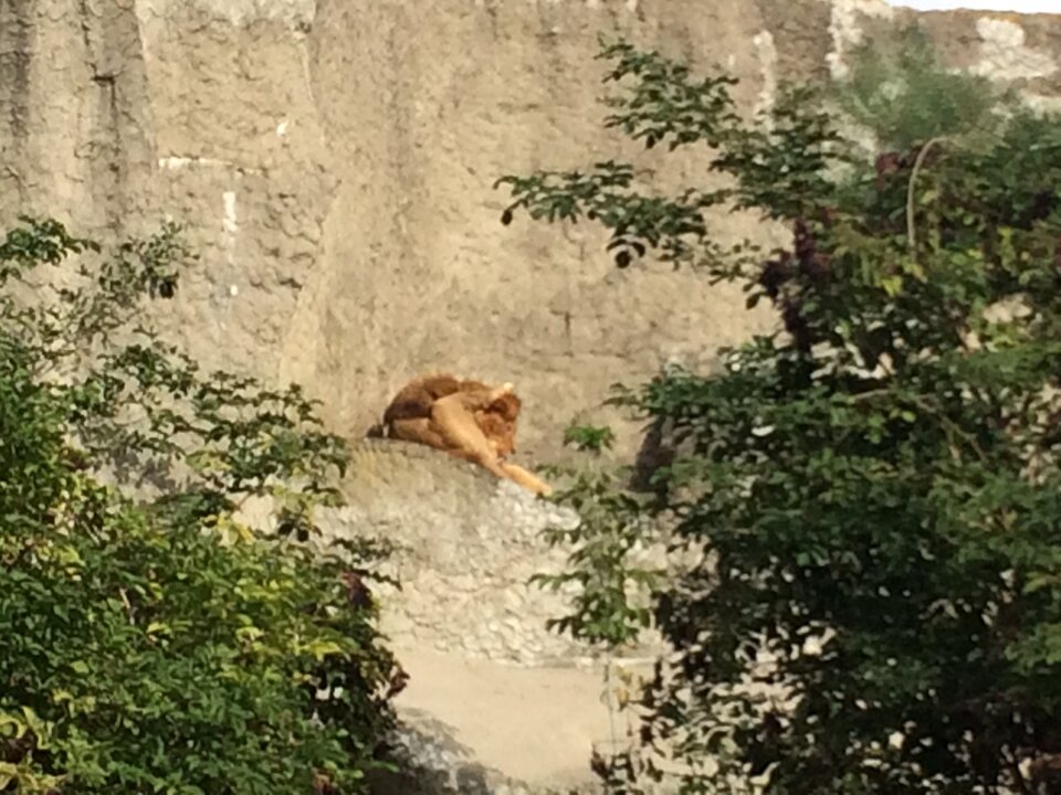 IMG_1494.JPG - AmigoPoland