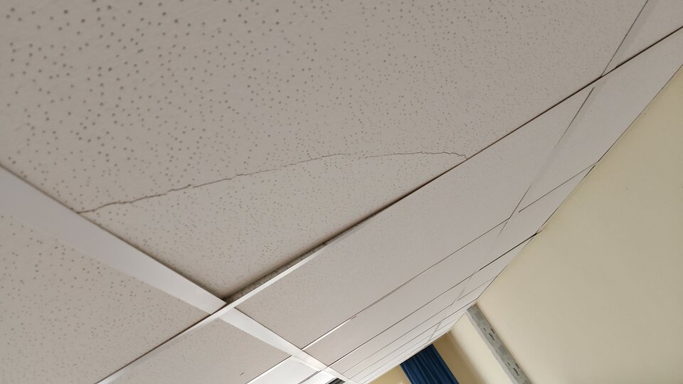 1000021772.jpg - Spontan8787