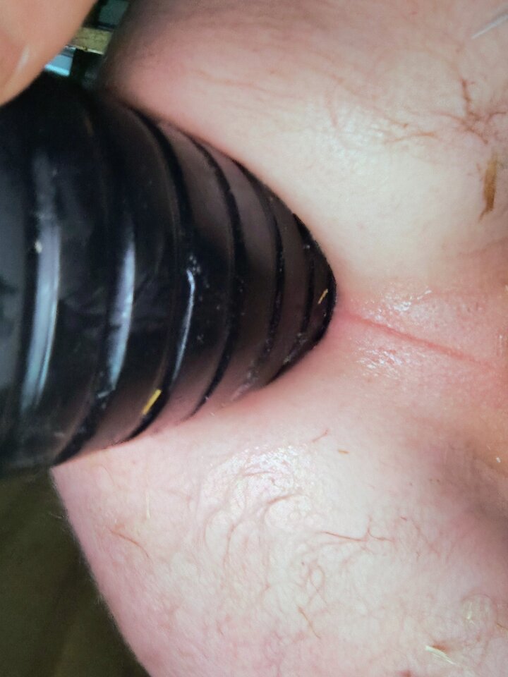 1000000663.jpg - Capka123