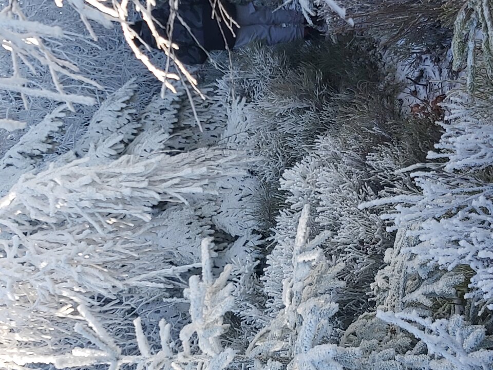 9a582e78-d6b9-4a69-bf5f-e585d1a27e2e-1_all_10.jpg - Franekzewsi