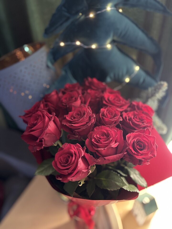 IMG_6090.jpeg - Highflying