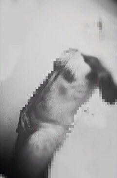 IMG_20260103_195133.jpg