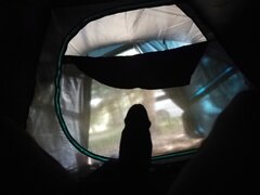 IMG_20240810_163351.jpg