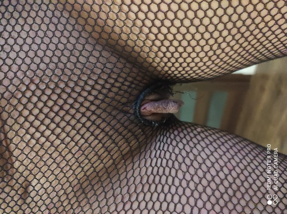 IMG_20260104_023611.jpg - Sukaibestia