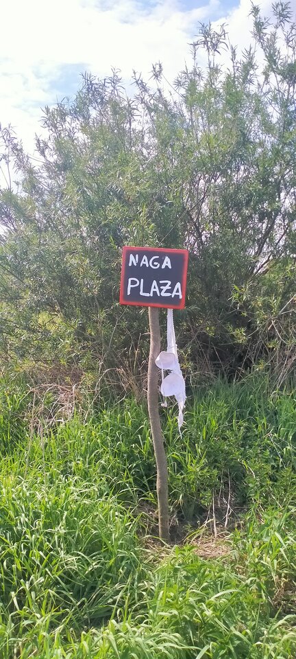 36c31eae-1496-4afa-b94f-060c3a3586e5-1_all_979.jpg - Wszolek