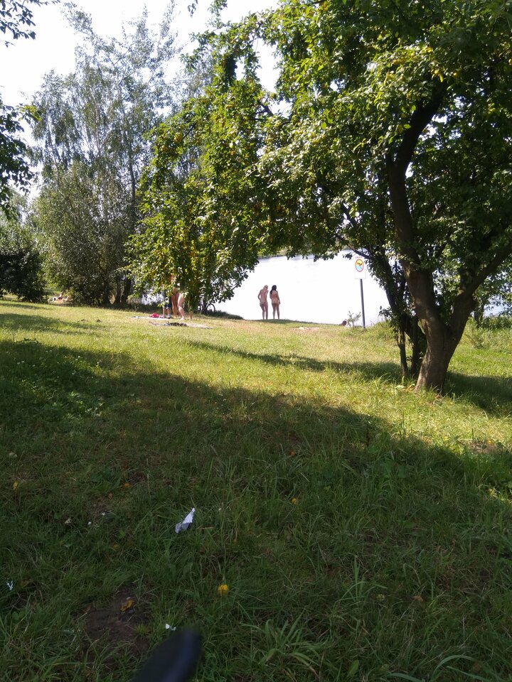 36c31eae-1496-4afa-b94f-060c3a3586e5-1_all_1344.jpg - Wszolek