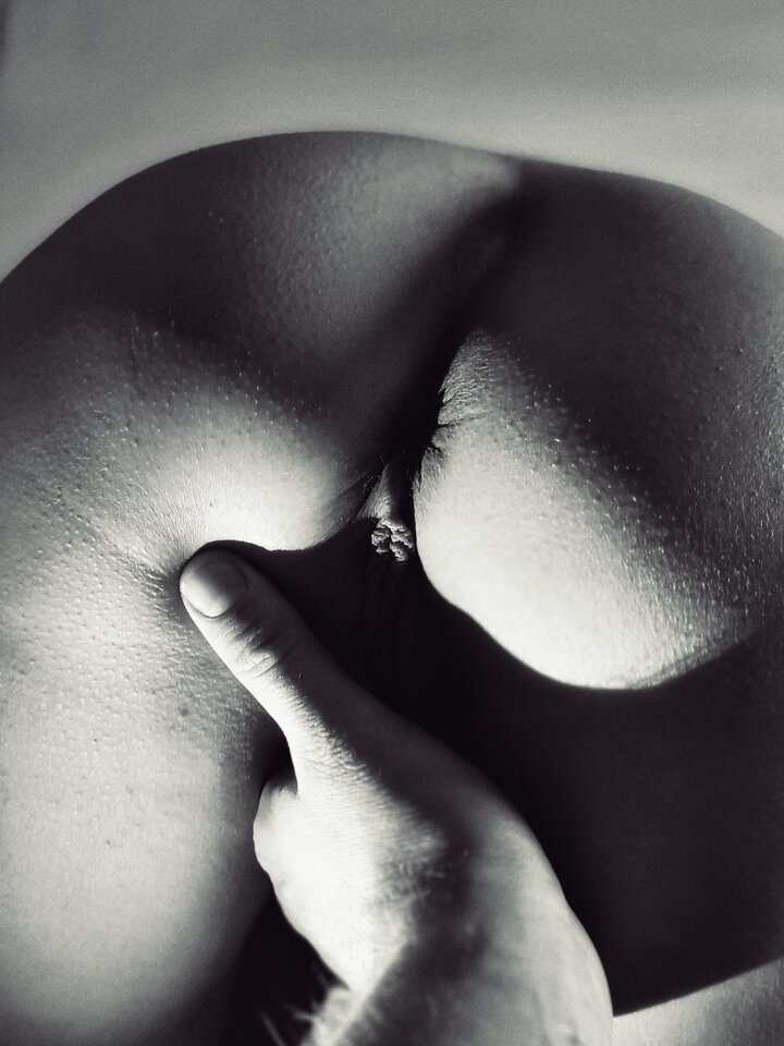 1000027695.jpg - WilkWadera