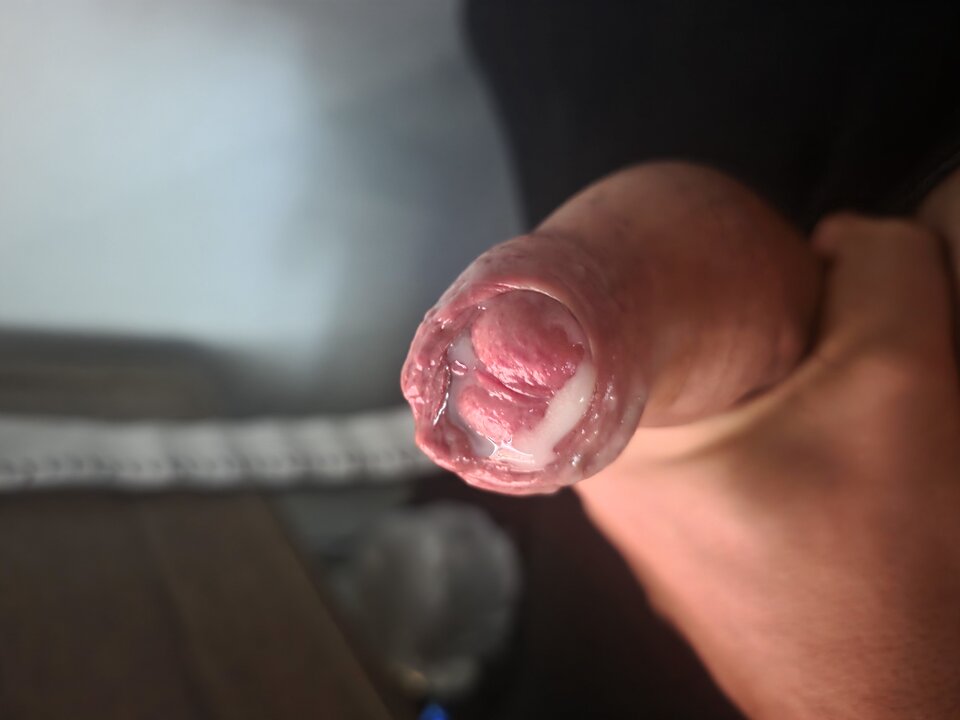 d09375cc-67d9-4967-9793-e010a6d71fbf-1_all_15128.jpg - agelagel